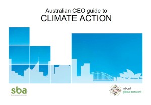 CEO guide to sust